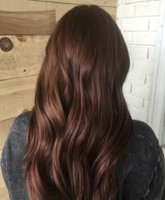 Chocolate Brown Hair Auburn Highlights, Soft Mahogany Dark Brown Hair, Red Hazelnut Hair Color, Bright Chocolate Brown Hair, Dark Auburn Brunette Hair, Mahogany Hair Balayage, Hot Chocolate Brown Hair, Chestnut Brown Hair Colors, Chesnutt Hair Color