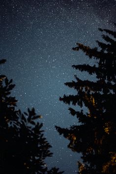 the night sky is filled with stars and trees