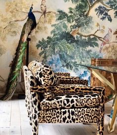 a peacock sitting on top of a leopard print chair next to a wall with paintings