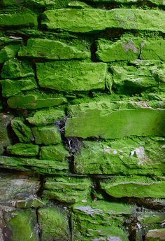 a green brick wall with moss growing on it