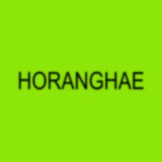 the word horanghae is written in black on a neon green background,