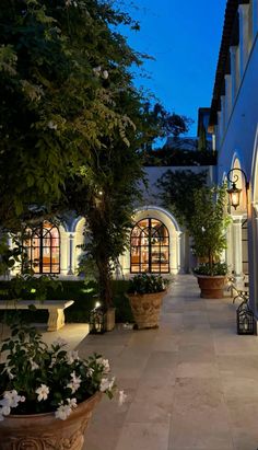 an outdoor area with potted plants and lights on the side of the building at night