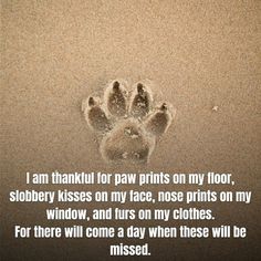 an animal paw with the words i am thank for paw prints on my floor,