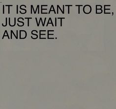 an airplane is flying in the sky with a quote above it that reads, it is meant to be just wait and see