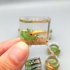 someone is holding a tiny glass box with some plants in it and there are other small objects