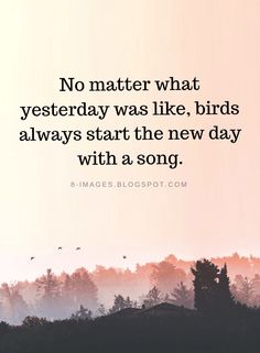 an image with the quote no matter what yesterday was like, birds always start the new day with a song