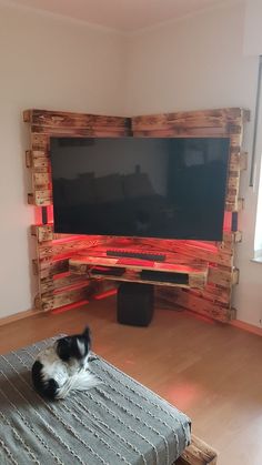 a black and white dog laying on top of a bed in front of a flat screen tv