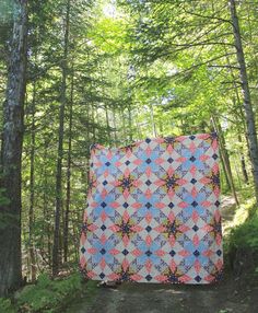 a quilt is hanging on the side of a path in the woods with trees around it