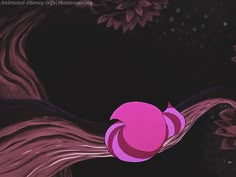 a pink and purple flower on a black background