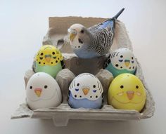 a bird sitting on top of an egg carton filled with painted eggs