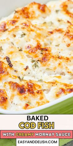 Close up of Baked Cod Fish with Mornay Sauce in a baking dish. Cod Fish Casserole Recipes, Cod Casserole Recipes, Baked Cod In Cream Sauce, Cheesy Fish Bake, Frozen Cod Recipes, Baked Cod Recipes Oven Easy Healthy, Cod Dinner Recipes, Baked Cod In Tomato Sauce