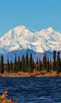 the mountains are covered in snow and pine trees near a body of water with blue sky