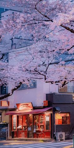 a tree with pink flowers in front of a building