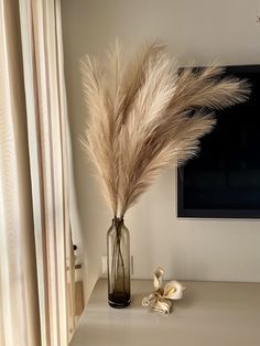 a vase with some dry grass in it