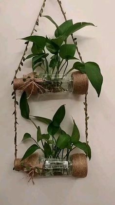 two glass bottles with plants in them hanging from twine rope on the wall,