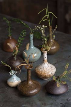 a group of vases with plants in them on a table next to each other