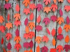 an image of fall leaves on the fence