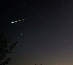 an airplane flying in the sky at night with stars above it and tree branches below