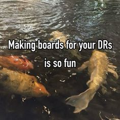 some fish are swimming in the water and one is saying making boards for your drs is so fun