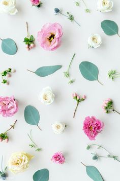 pink and white flowers are arranged on a white surface with green leaves, stems, and buds