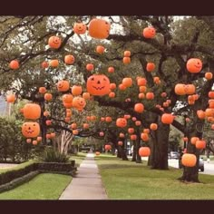 many orange pumpkins are hanging from trees in the park with faces drawn on them