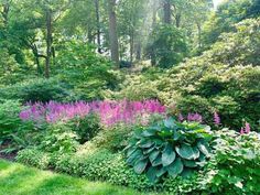 the garden is full of colorful flowers and greenery