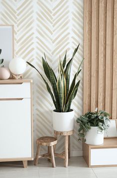 a plant in a white pot next to a wooden stool and wall with geometric pattern