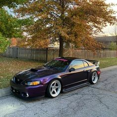 a purple car is parked on the side of the road in front of a tree