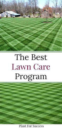 the best lawn care program for your home