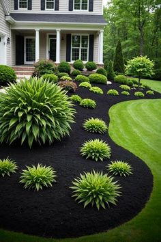 a house with landscaping in front of it and green grass around the yard, including shrubs