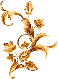 an image of a gold floral design on a white background