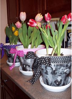 some flowers are sitting in cups on a counter with polka dot ribbon around them and the words making these for easter gifts hepined just now via kristie chapman