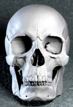 a white human skull is shown in this image, it appears to have been made out of