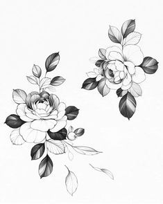 black and white drawing of flowers on a white background, with leaves in the foreground