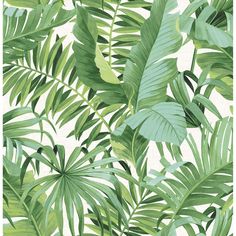 a green and white wallpaper with tropical leaves on the back drop in front of it