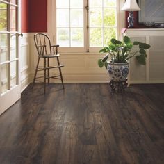 a living room filled with furniture and a potted plant on top of a hard wood floor