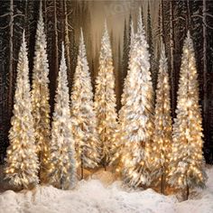 christmas trees are lit up in the snow with white lights and evergreens behind them