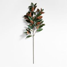 a plant with green leaves on it against a white wall, in the shape of a twig