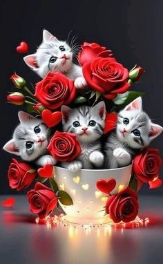 a bunch of kittens sitting in a bowl with roses