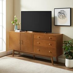 a flat screen tv sitting on top of a wooden dresser next to a potted plant