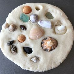 various seashells are arranged on top of a white circular object that sits on a black surface