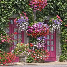 colorful flowers are growing on the side of an old building with red doors and windows