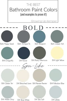 the best bathroom paint colors and examples to prove it, including grays, blues, browns