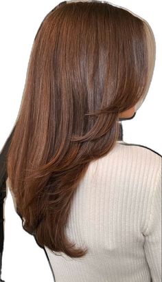 Rambut Brunette, Chestnut Hair, Chestnut Hair Color, Brown Hair Looks, Brown Hair Inspo, Hair Inspiration Long, Ginger Hair Color, Hairstyles For Layered Hair, Hair Color Auburn