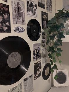 a plant is growing out of a potted plant in front of records on the wall