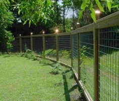 a fence that has lights on it and some grass in the yard next to it