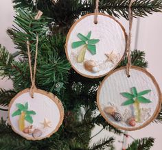 three ornaments hanging from a christmas tree decorated with sand and seashells on them