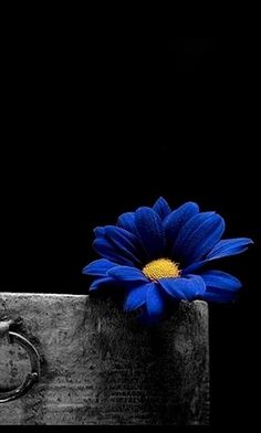 a blue flower sitting on top of a piece of metal with a ring around it