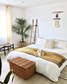 a dog laying on top of a bed in a room with white walls and flooring