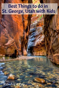 a river in the middle of a canyon with text overlay that reads best things to do in st george, utah with kids